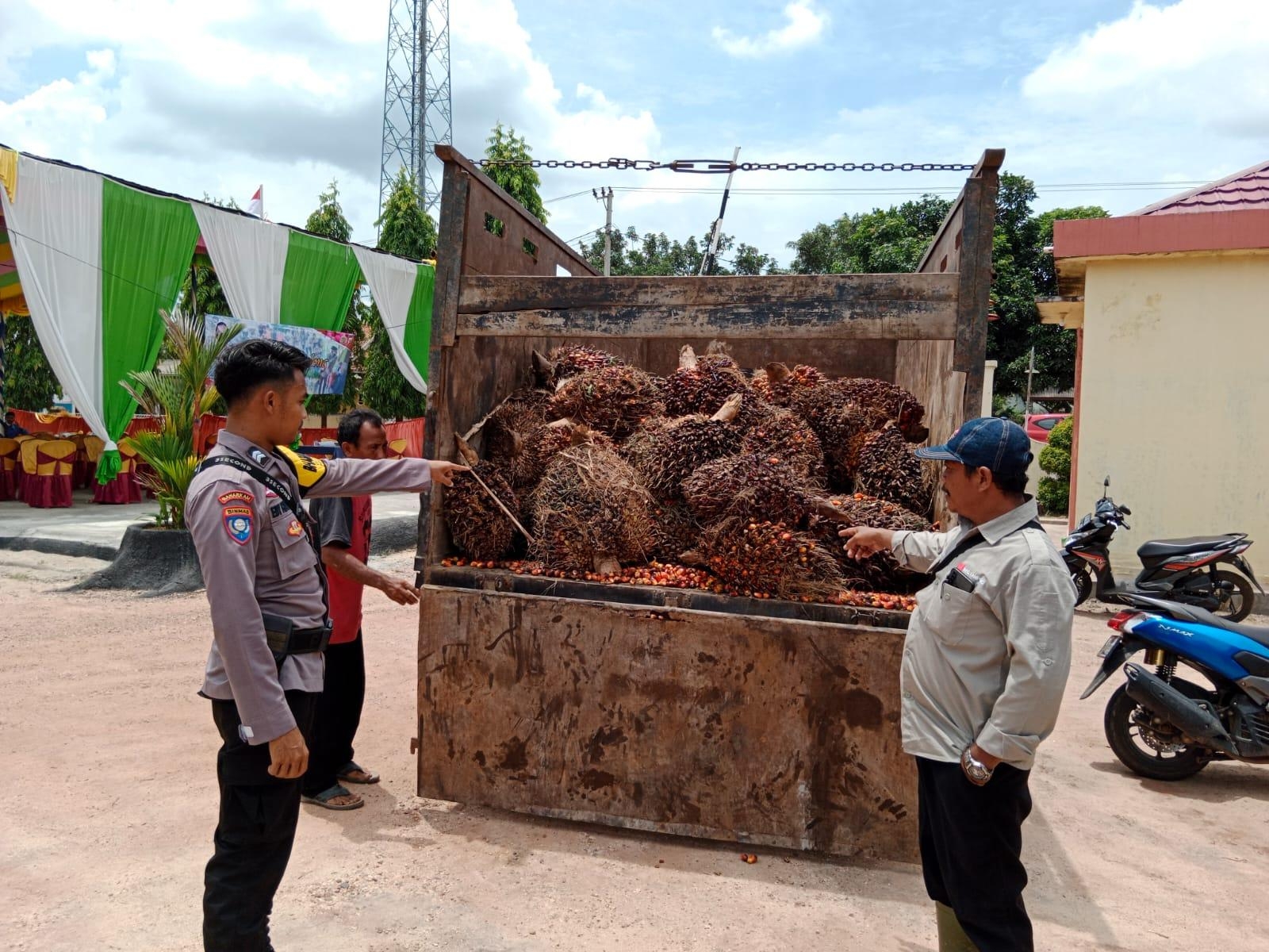 Polisi tangkap 3 pelaku pencurian buah sawit di Way Kanan