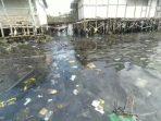 Pencemaran limbah di pesisir Lampung