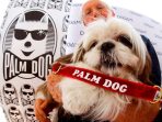 Penghargaan Palm Dog meriahkan perayaan Festival Film Cannes