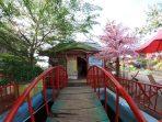 Tak Perlu Ke Jepang, Bukit Sakura Juga Ada di Lampung