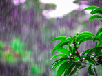Waspada Hujan Lebat Disertai Angin Kencang Untuk Wilayah Lampung
