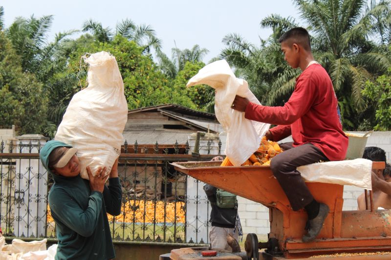 Ini Langkah Pemprov Lampung Untuk Intensifkan Mekanisasi Pertanian