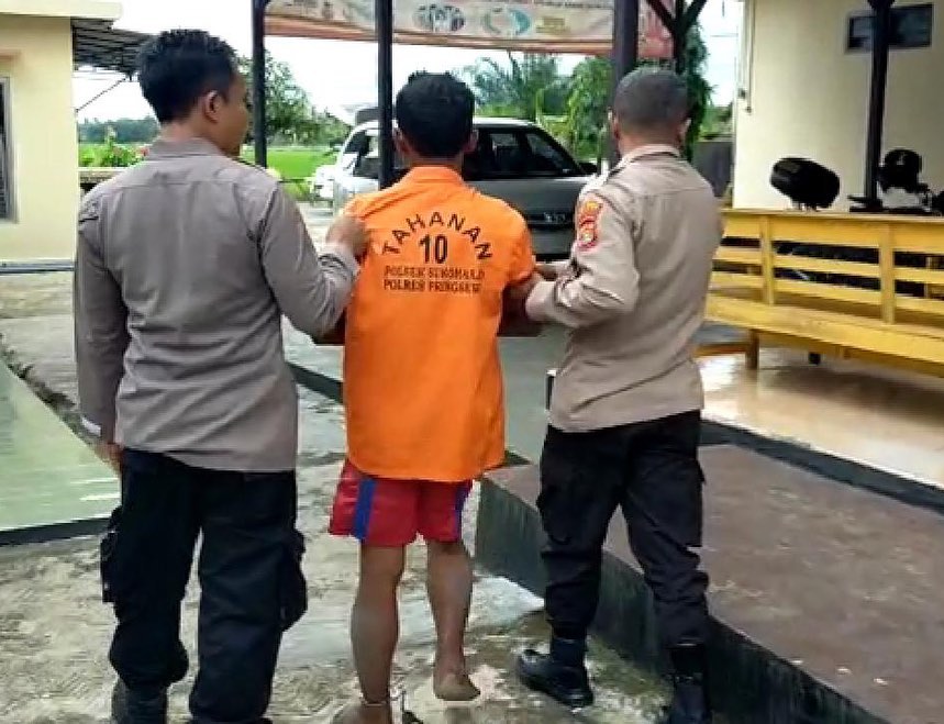 Spesialis Pencuri Sapi Dibekuk Setelah Aksinya Terekam Kamera CCTV