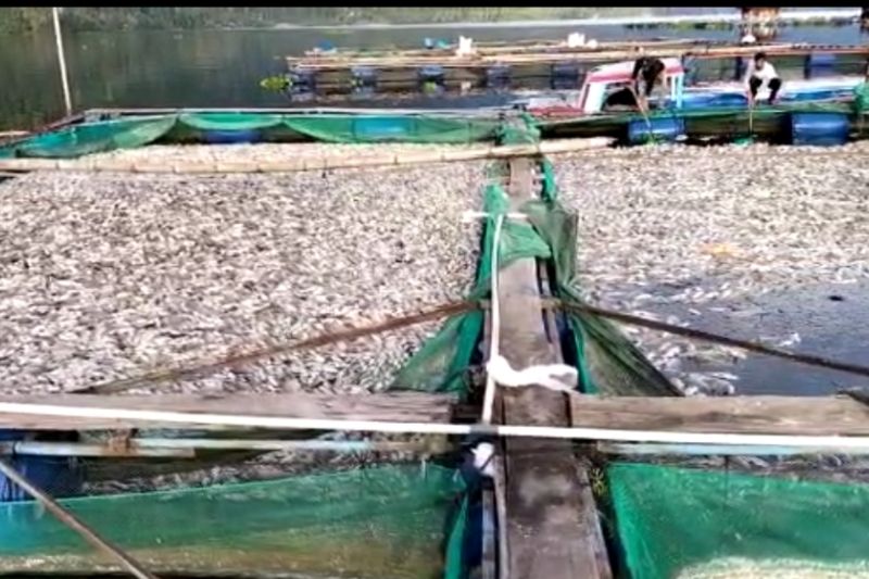 Suasana keramba ikan milik warga di Danau Ranau Kecamatan Lumbok Seminung Kabupaten Lampung Barat. (13/1/2023)