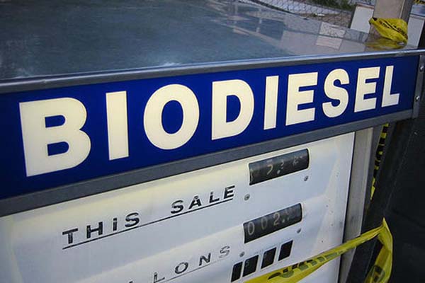 biodiesel reuters msl