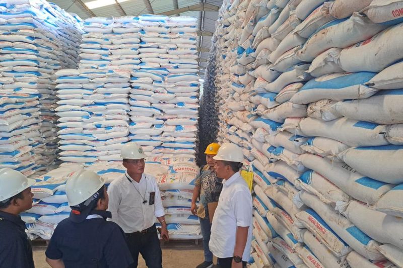 Sebanyak 47.250 Ton Pupuk Subsidi Disiapkan Untuk Petani Lampung