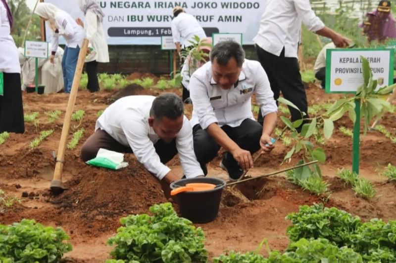Asisten II Bidang Ekonomi dan Pembangunan Provinsi Lampung Kusnardi saat melakukan penanaman 1.000 pohon. (Dok.Humas)