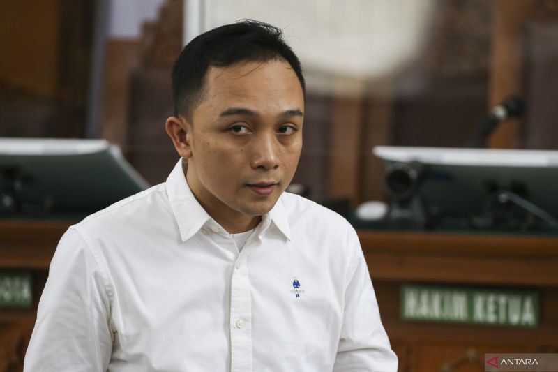 Terbukti Bersalah, Ricky Rizal Divonis 13 Tahun Penjara