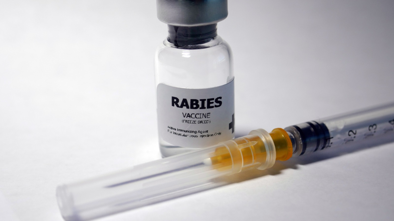 Vaksinasi rabies pada hewan (ilustras)