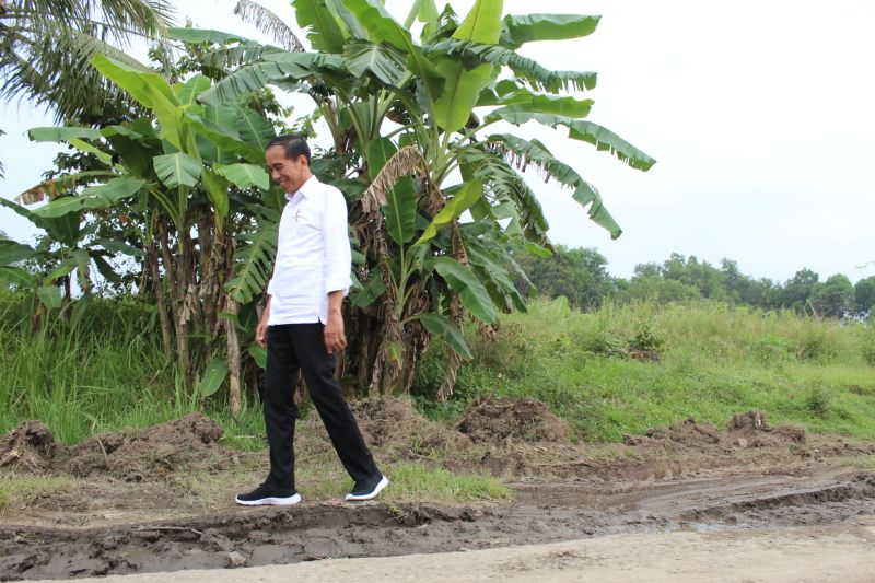 Presiden Joko Widodo (Jokowi) tengah melihat secara langsung jalan yang rusak di Lampung Tengah, tepatnya jalan di Seputih Raman, Lampung Tengah, Jumat (5/5/2023).