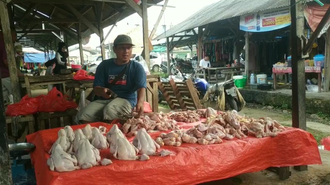 Daging Ayam di Lampung