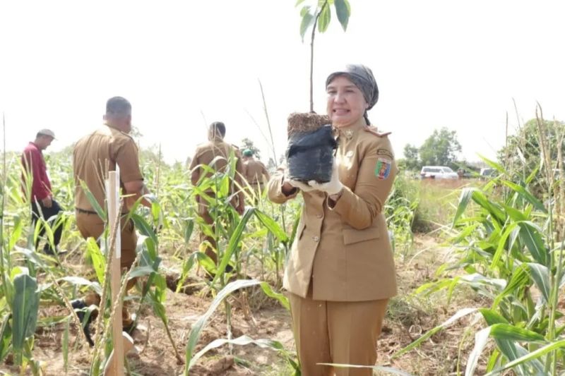 Kepala Dinas Lingkungan Hidup Provinsi Lampung Emilia Kusumawati saat melakukan aksi penghijauan