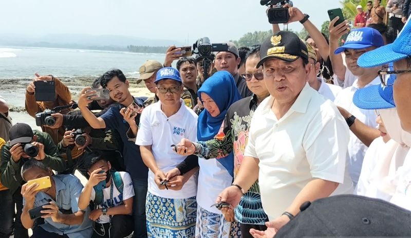 Suasana saat Gubernur Lampung dan rombongan melepaskan tukik di pantai
