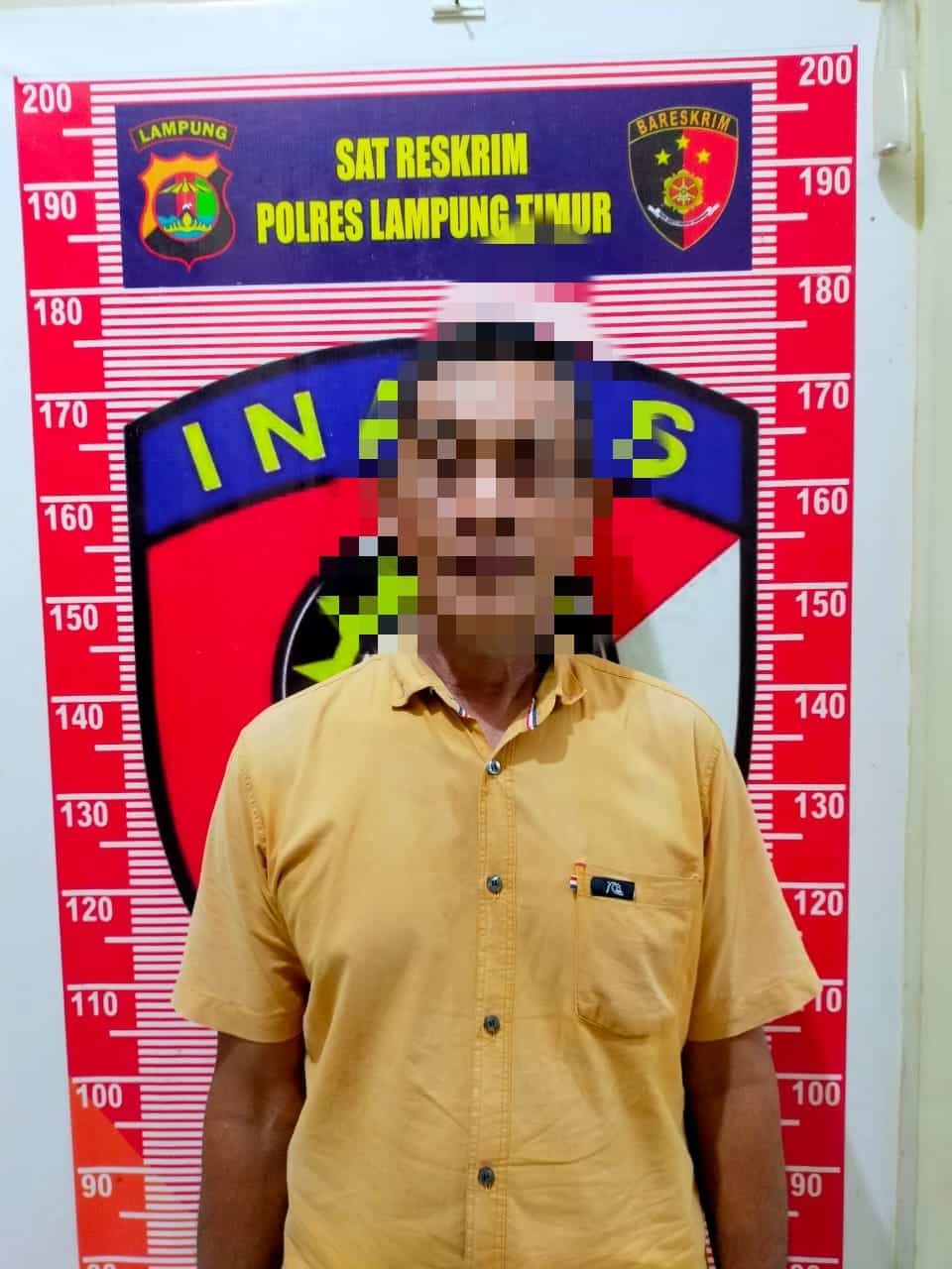Nekat Nyolong HP Warga, Calon Kades Di Lampung Timur Ditangkap Polisi
