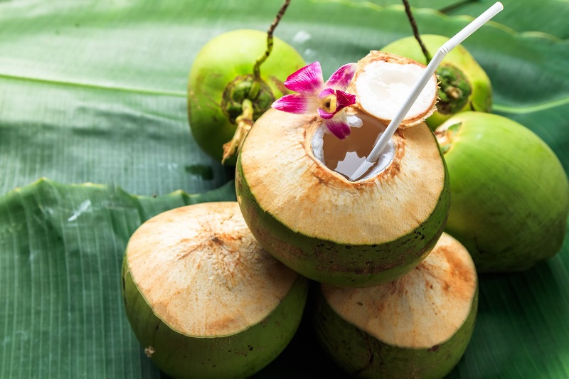 kelapa