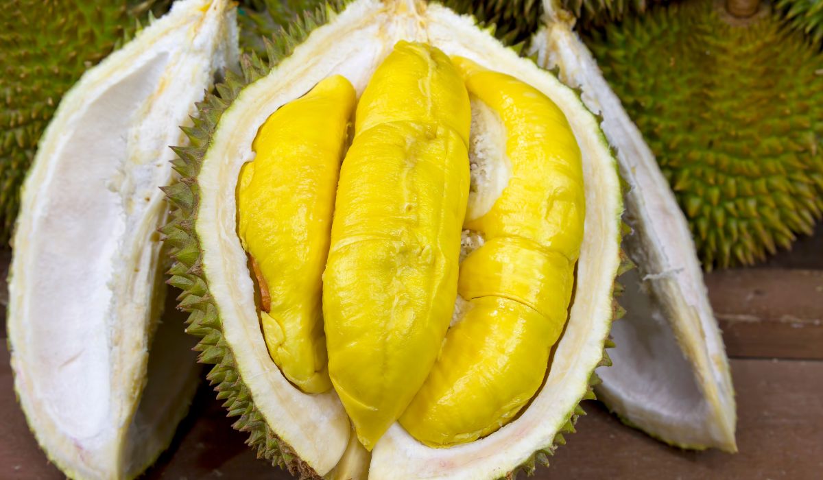 Jadi Penghasil Durian Terbaik Dunia, 6 Wilayah di Indonesia Ini Populer dengan Duriannya
