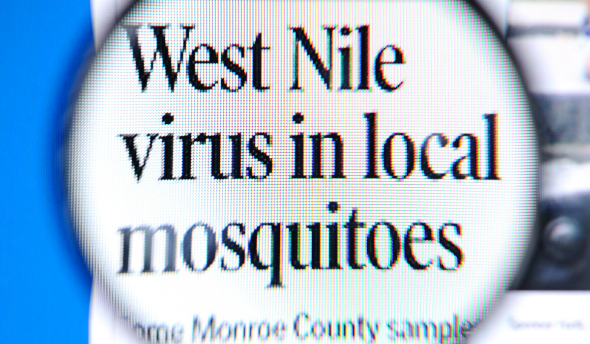 Virus West Nile Wabah Mematikan